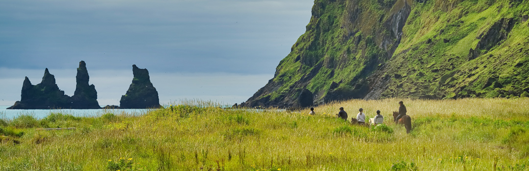 Ridning ved Reynisdrangar i Islands grønne landskab.