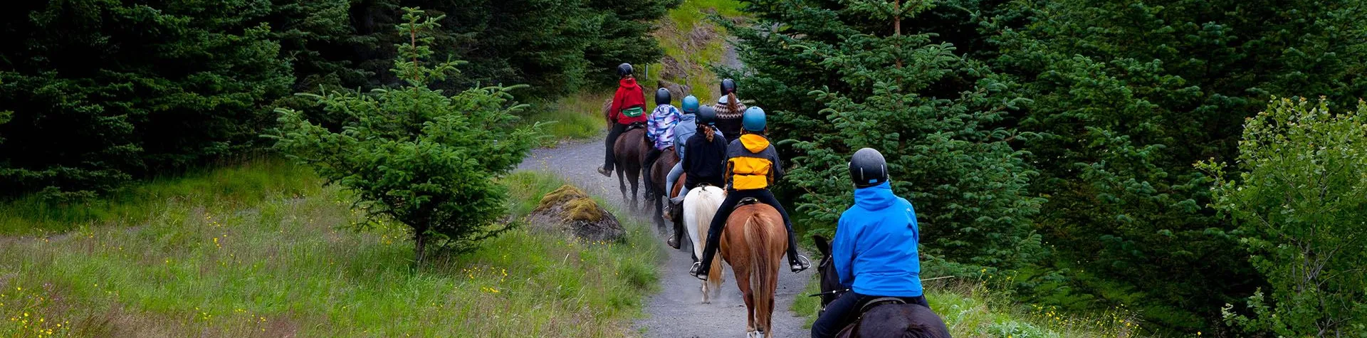 Ridning & Bad i en geotermisk pool (08.00/9 t./2,5 t. ridning) (C07)
