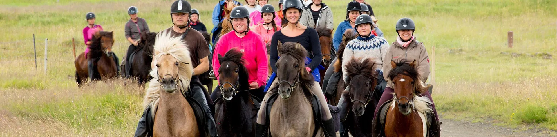 Ridning med Gullfoss, Geysir og Thingvellir (08:00/9 t/1,5 t ridning) (C04)