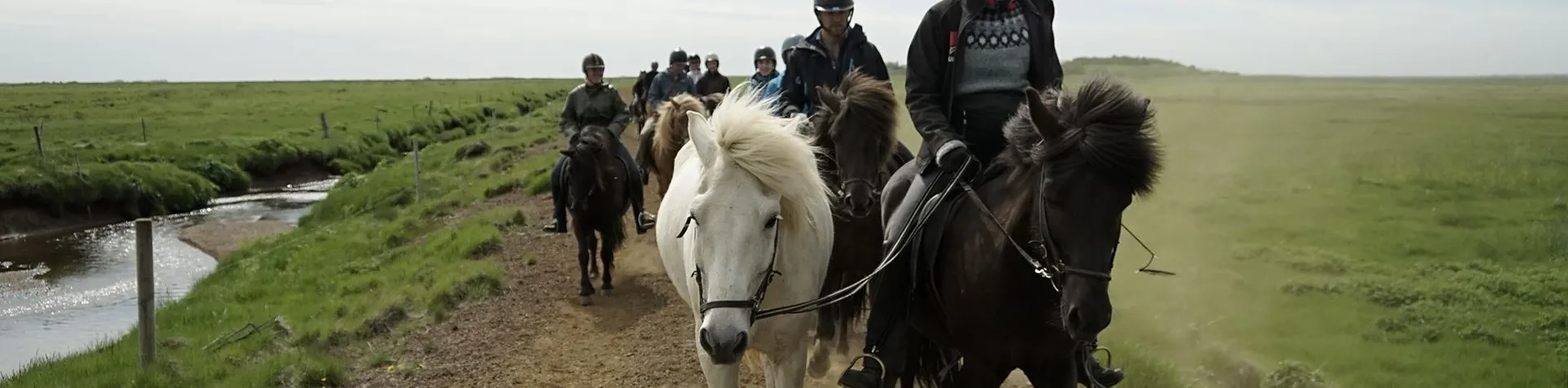 Ridning med Gullfoss, Geysir og Thingvellir (08:00/9 t/1,5 t ridning) (C04)