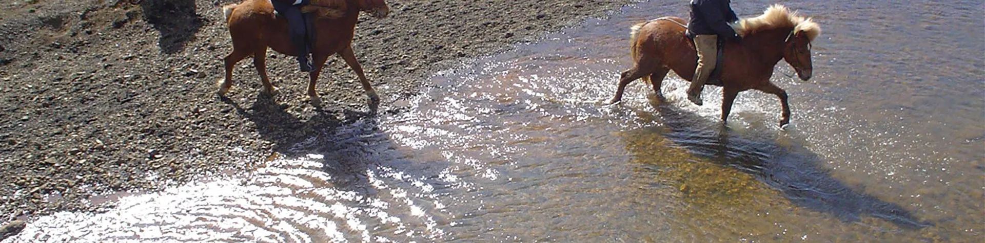 Ridning med Gullfoss, Geysir og Thingvellir (08:00/9 t/1,5 t ridning) (C04)