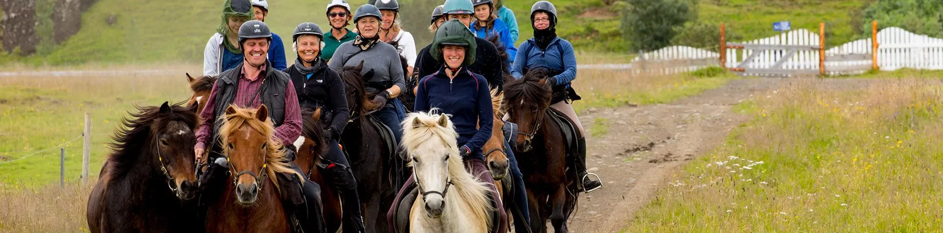 Ridetur & Vandring til Reykjadalur (08:00/8 tim/1,5 tim ridning) (C05)