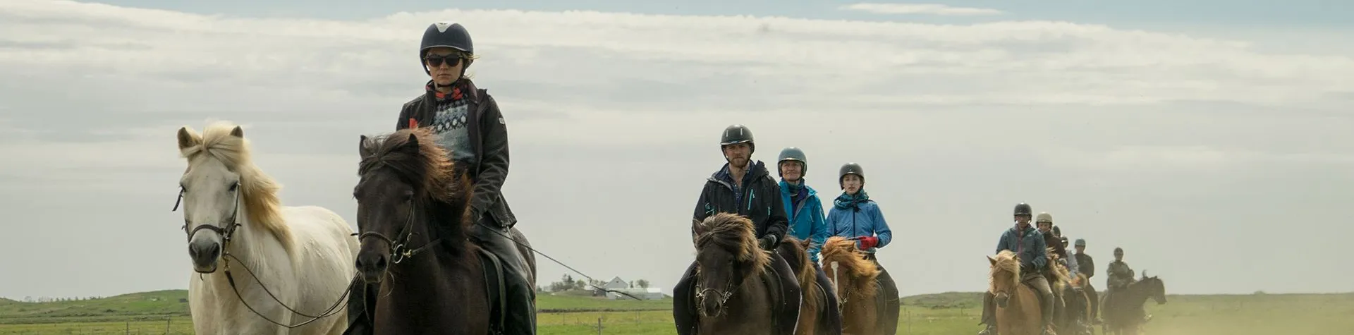 Ridetur & Vandring til Reykjadalur (08:00/8 tim/1,5 tim ridning) (C05)