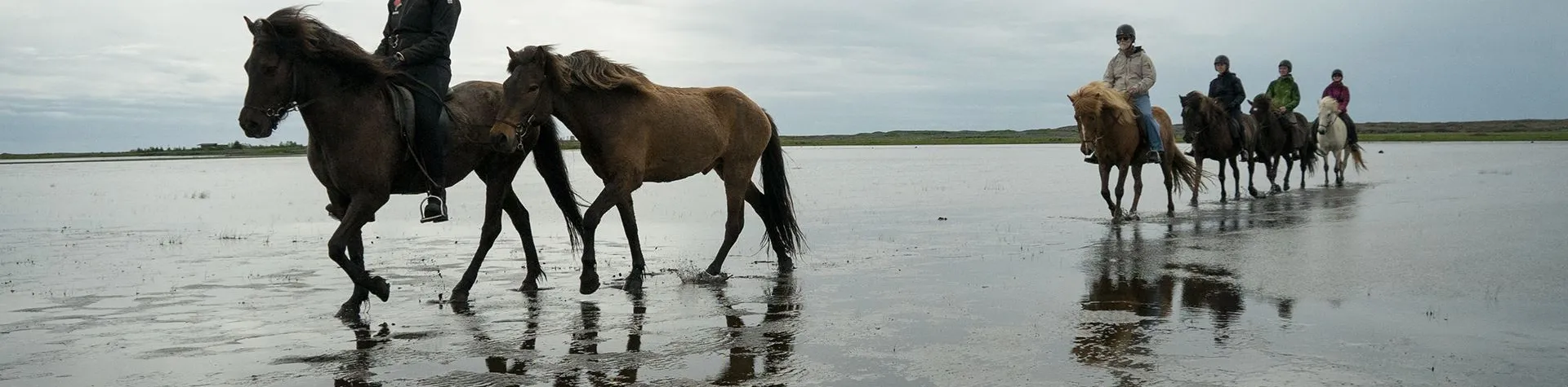 Strandturen (08:00/8 tim/5 tim ridning) (C14)