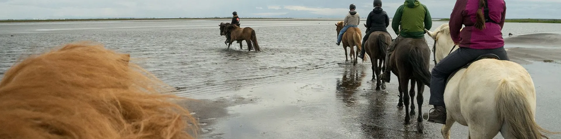 Strandturen (08:00/8 tim/5 tim ridning) (C14)