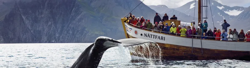 husavik, island