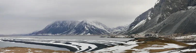 hvalnes, island