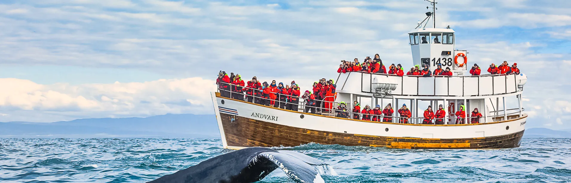 Hvalsafari i Húsavík, Island.