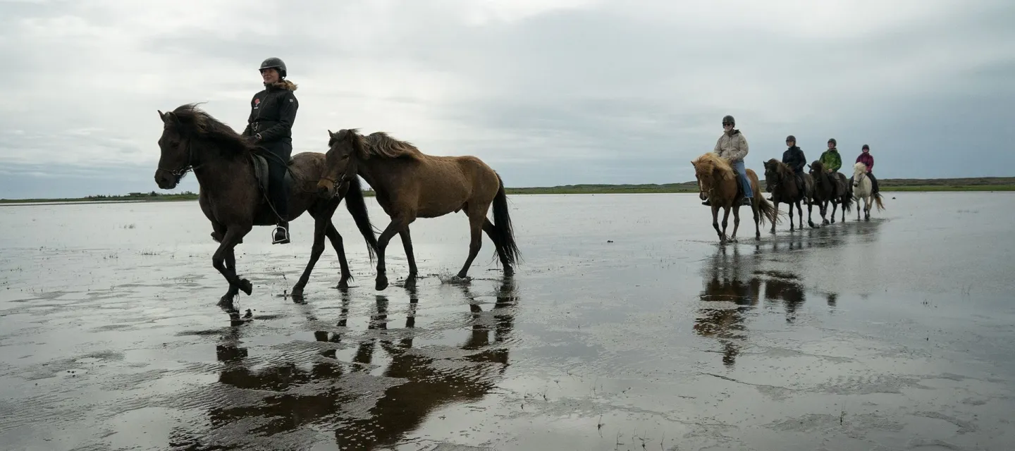 Strandturen (08:00/8 tim/5 tim ridning) (C14)